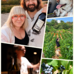 We crossed France for wine. Here’s what surprised us. –